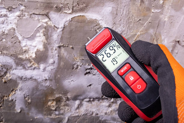 Best Mold Remediation  in Kingston, WA