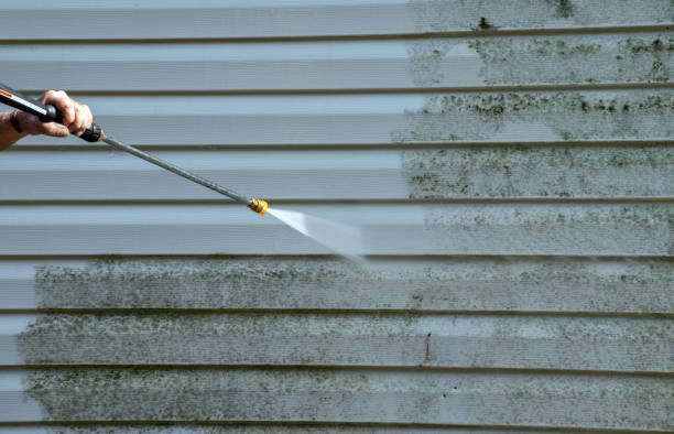 Best Commercial Mold Removal  in Kingston, WA