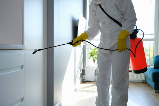 Best Crawl Space Mold Removal  in Kingston, WA